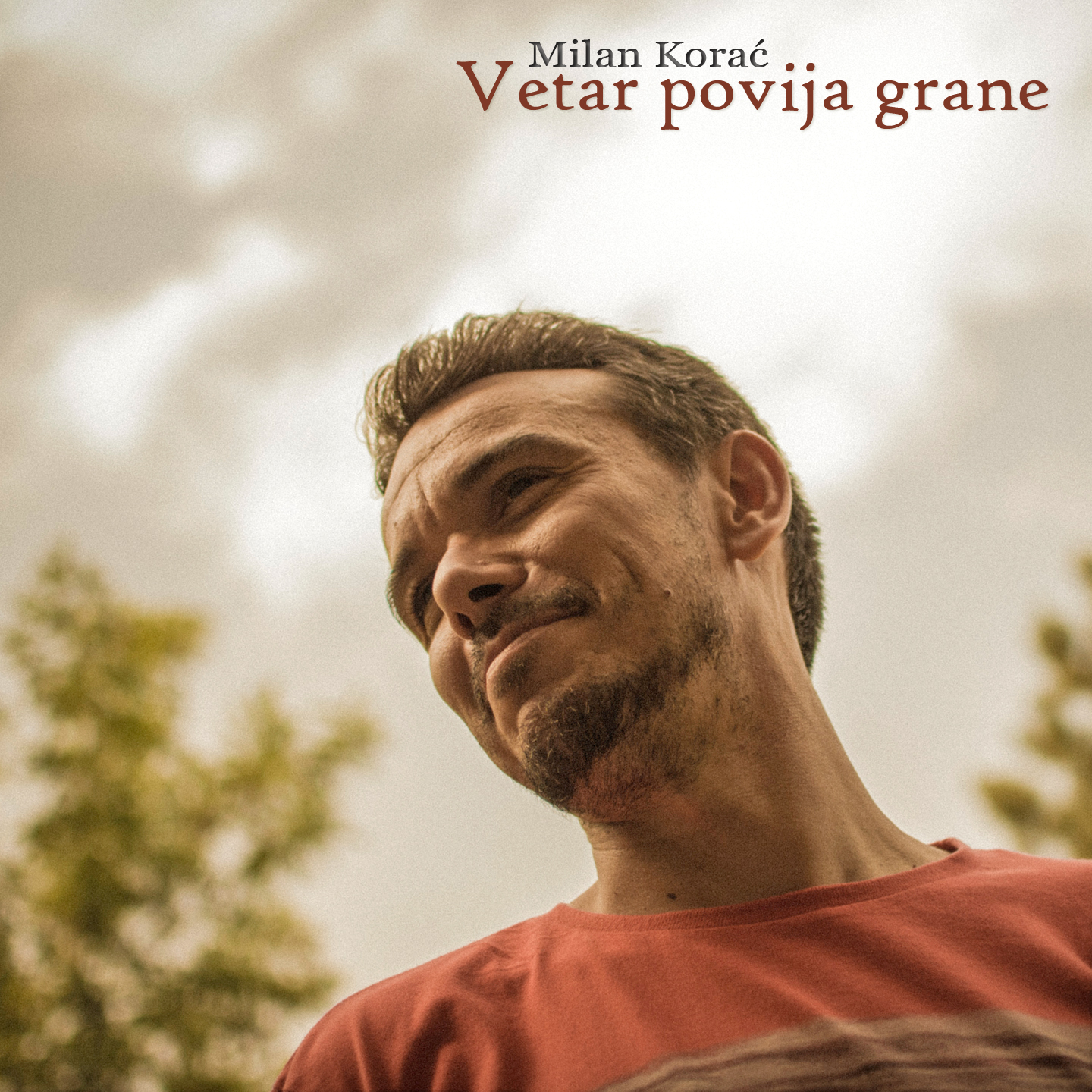 Vetar povija grane